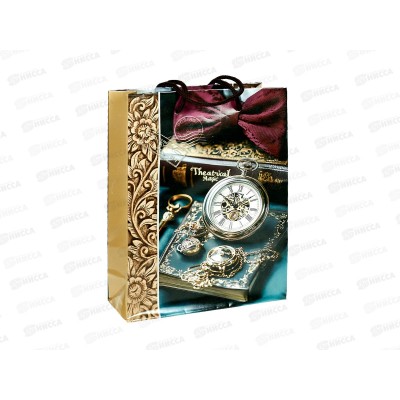 Пакет бумажный 18*24 Мужской Р10738-16 *12