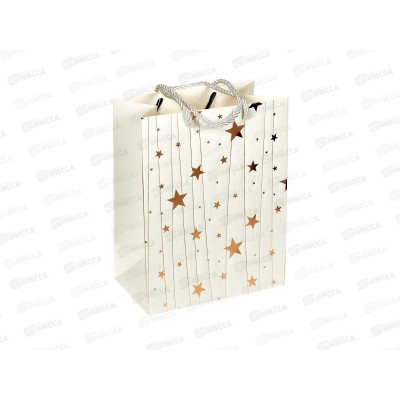 Пакет бумажный люкс 18*23 Звезды 7108S *12