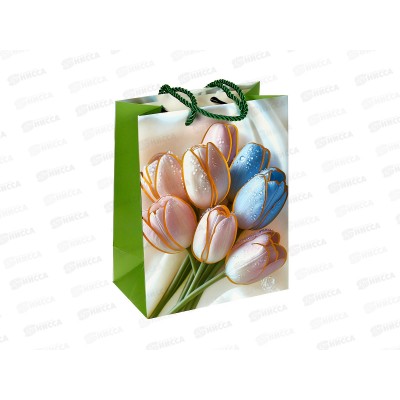 Пакет бумажный люкс 18*23 Тюльпаны 7118S *12