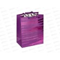 Пакет бумажный люкс 18*23 Универсальный 9132S *12