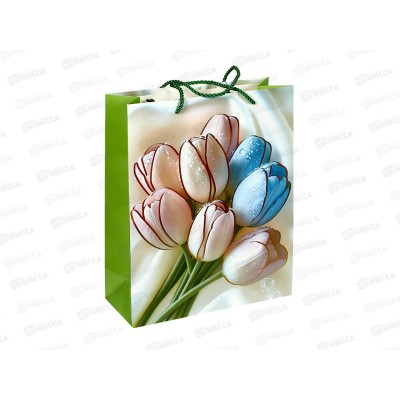 Пакет бумажный люкс 26*32 Тюльпаны 7118М *12