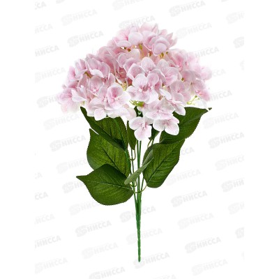 Букет 55см 5гол №147 микс 81180 *20  Б