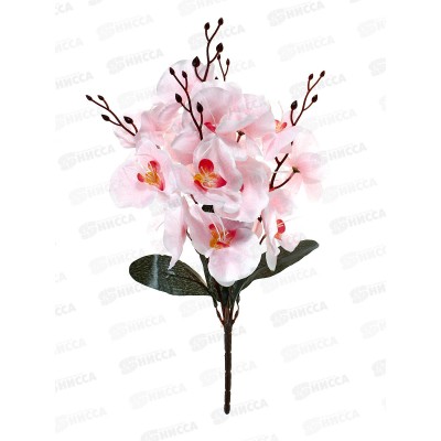 Букет 45см 5 гол №96 микс 81871 *40  Б