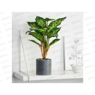 Бонсай в горшке &quotДиффенбахия пятнистая&quot 9*32см, 9750511