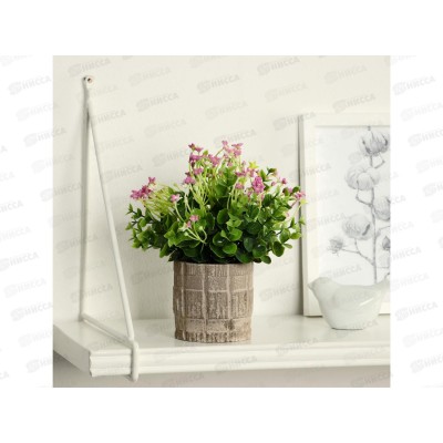 Бонсай в горшке &quotФиалка химера&quot 8*17см, 9750527