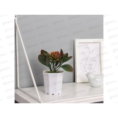 Бонсай в горшке &quotЭхеверия&quot 10*6,5см микс 10697872