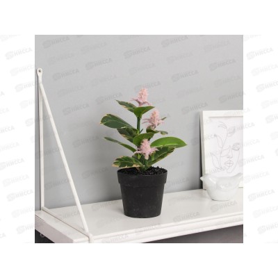 Бонсай в горшке &quotФикус галант&quot 20*9см микс 10697894