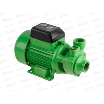 Насос садовый ECO GFW-8P