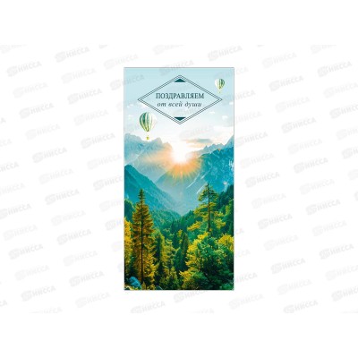 Конверт АД Поздравляем от всей души 0322.540