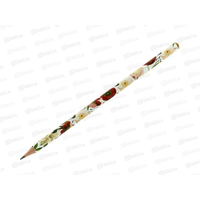 Карандаш ч/г  B.V. Flora Пионы,НВ  21-0030/91  *50