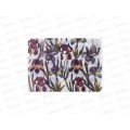 Папка с кноп. B.V. А4 Flora Ирисы, 14-036/18 *10/100