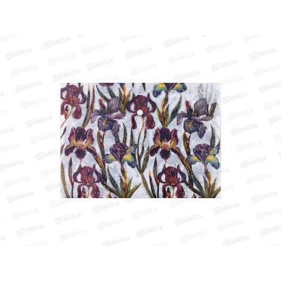 Папка с кноп. B.V. А4 Flora Ирисы, 14-036/18 *10/100