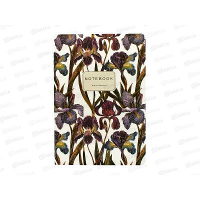Тетрадь 40л кл. B.V. Flora Ирисы 7-40-001/175*4/64