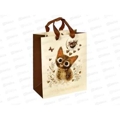 Пакет подар. B.V. Love me 26*32,4*13см 2-852/08