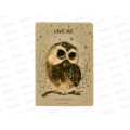 Тетрадь 40л кл. B.V. Love me Милый совенок 7-40-001/207*4/64