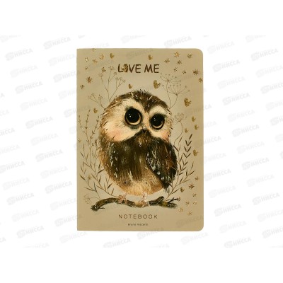 Тетрадь 40л кл. B.V. Love me Милый совенок 7-40-001/207*4/64 Тетрадь 40л кл. B.V. Love me Милый совенок 7-40-001/207*4/64