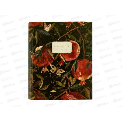 Тетрадь 80л кл. B.V. Flora Гранат  7-80-634/05*4/64