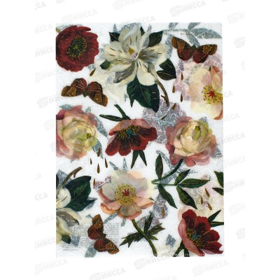 Папка-уголок  B.V. А4 Flora Пионы, 14-038/11 *10/100