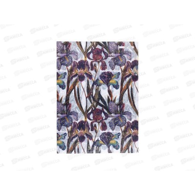 Папка-уголок  B.V. А4 Flora Ирисы, 14-038/12 *10/100