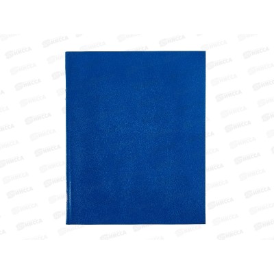 Тетрадь 48л кл. BG А5 б/в синий,12310*100Тетрадь 48л кл. BG А5 б/в синий,12310*100