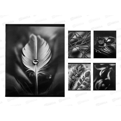 Тетрадь 48л кл. LAMARK Элегантный черный 4826-52  *5/100