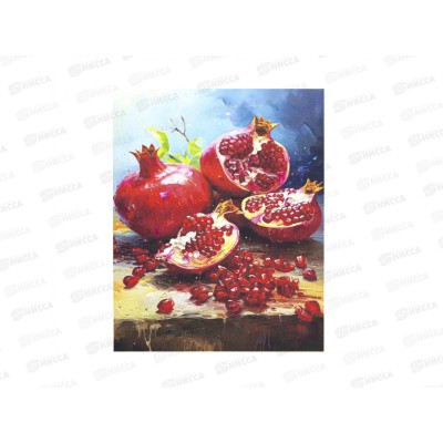 Картина по номерам 20*30 Гранаты АL13002*30 Картина по номерам 20*30 Гранаты АL13002*30