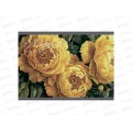 Альбом д/рис.12л Alingar Акварельные цветы, AL10550/4 *60 Альбом д/рис.12л Alingar Акварельные цветы, AL10550/4 *60