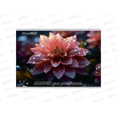 Альбом д/рис.40л Alingar Цветы  AL13158/2*36