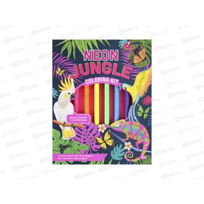 Раскраска+фломастеры 6цв. Darvish  SR-15354 *100