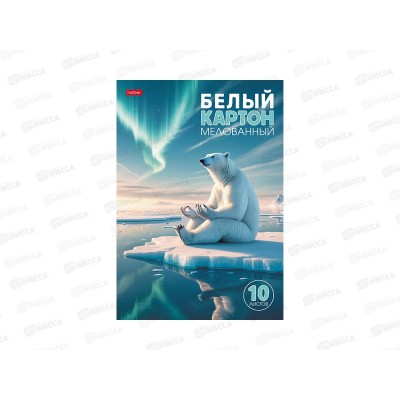 Картон белый Hatber А4  10л Полярный мыслитель. папка мелов. 33797 *22