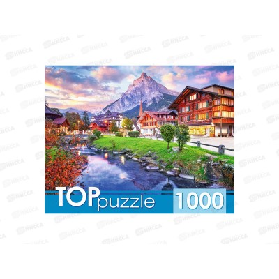 ПАЗ 1000эл. TOPpuzzle ШТТП1000-8740, Город в Швейцарии *10