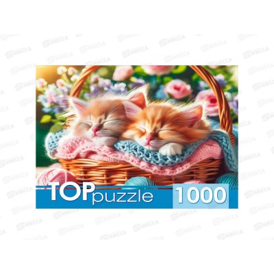 ПАЗ 1000эл. TOPpuzzle ХТП1000-8739 Два котенка в корзине *10