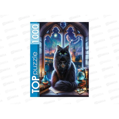 ПАЗ 1000эл. TOPpuzzle Ф1000-2743, Магический кот *10