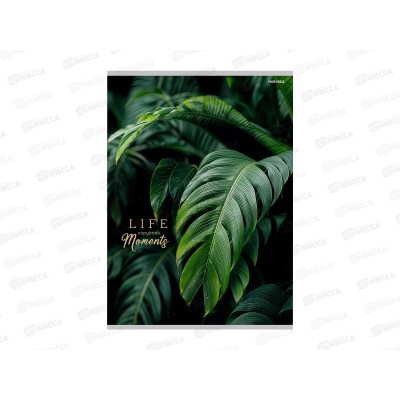 Тетрадь 96л клетка ПП А4 Зеленые листья - 5, 96-8927 *5/30