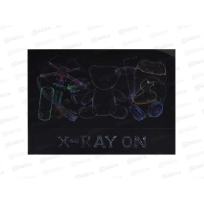 Папка д/тетрадей ФЕН А4 Ренген. 1отд., клапан 66331 *12 Папка д/тетрадей ФЕН А4 Ренген. 1отд., клапан 66331 *12