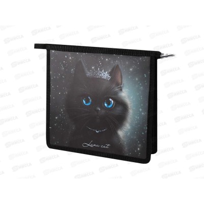 Папка д/тетрадей ФЕН А5 Принцесса луна 1отд., молния 69297 *12