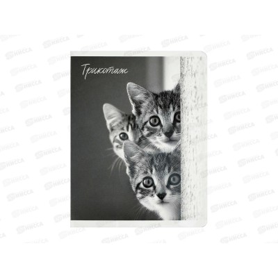 Тетрадь 48л кл. ФЕН Монохромные коты офс., 70920 *5/50