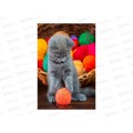 Алмаз. мозаика (класс.) 17х22см Котенок играет с клубком, НД-0739 с подр.