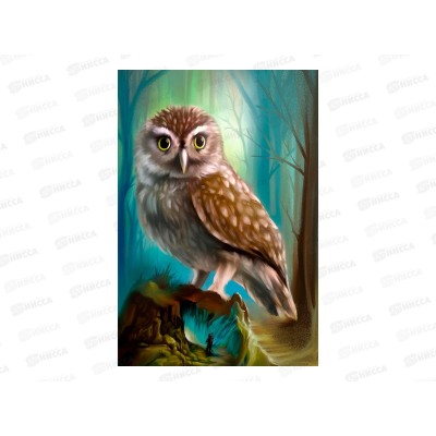 Алмаз. мозаика (квадрат.) 17х22см Загадочная сова, НД-0777 с подр.