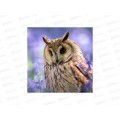 Алмаз. мозаика (класс.) 20х20см Филин в лаванде, НД-0895 на картоне