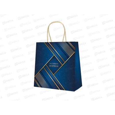 Пакет подарочный MI 45х45х21см Настоящему мужчине, ППК-1291 *12