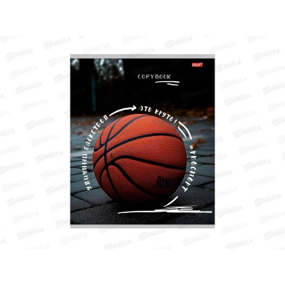 Тетрадь 48л клетка Profit Спортивные мячи - 1, 48-3794 *100