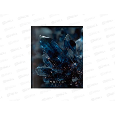 Тетрадь 48л клетка ПП Завораживающие кристаллы, 5 диз., 48-9830 *100