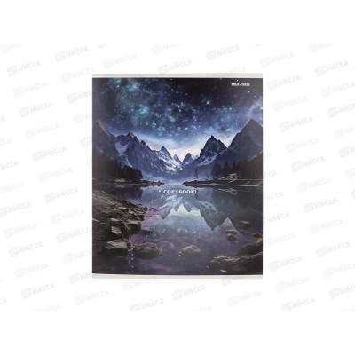 Тетрадь 48л линия ПП Живописные виды - 1, 5 диз., 48-3918 *100