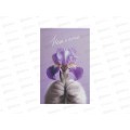 Блокнот 40л ЭКСМ А5  Cat&Flowers1 БСК540470  *40