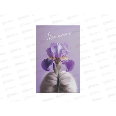 Блокнот 40л ЭКСМ А5 Cat&Flowers1 БСК540470 *40 Блокнот 40л ЭКСМ А5 Cat&Flowers1 БСК540470 *40