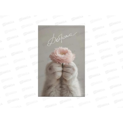 Блокнот 40л ЭКСМ А5 Cat&Flowers2 БСК540471 *40 Блокнот 40л ЭКСМ А5 Cat&Flowers2 БСК540471 *40