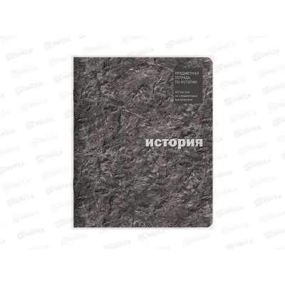 Тетрадь 48л кл. Lamark История ЭкоТекстура мат.ламинация 40577 *10