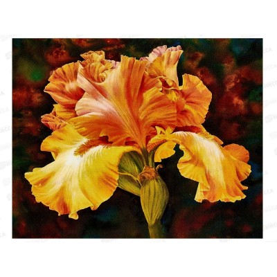 Алмазная мозаика №GLD60513, 40*30см &quotЦветок&quot на подрамнике