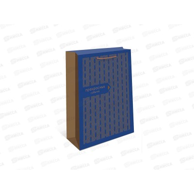 Пакет подарочный АД 18*22,3 0192.949